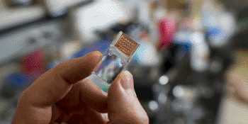 Imagen: La tecnología Dominó usa un chip plástico que puede realizar 20 pruebas genéticas a partir de una sola gota de sangre (Fotografía cortesía de Aquila Diagnostic Systems).